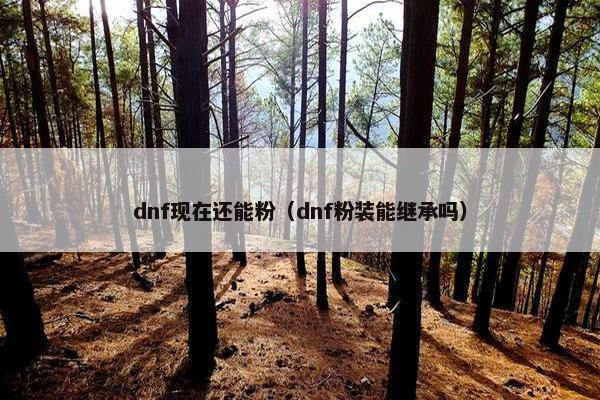 dnf现在还能粉（dnf粉装能继承吗）