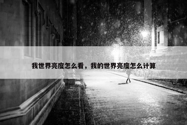 我世界亮度怎么看，我的世界亮度怎么计算