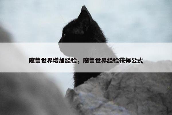 魔兽世界增加经验，魔兽世界经验获得公式