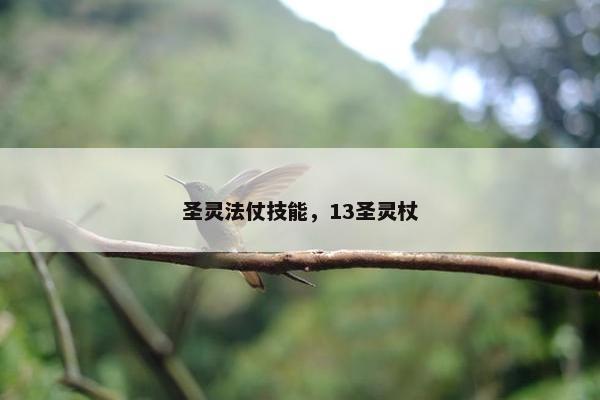 圣灵法仗技能，13圣灵杖