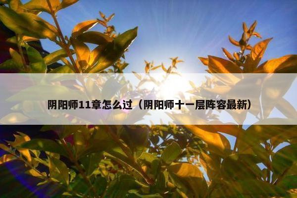 阴阳师11章怎么过（阴阳师十一层阵容最新）