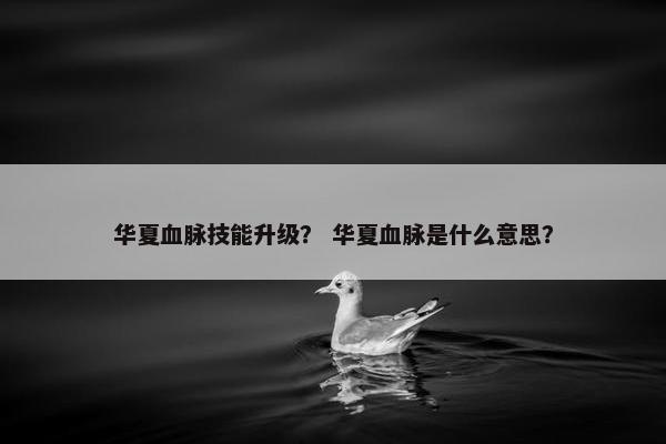 华夏血脉技能升级？ 华夏血脉是什么意思？