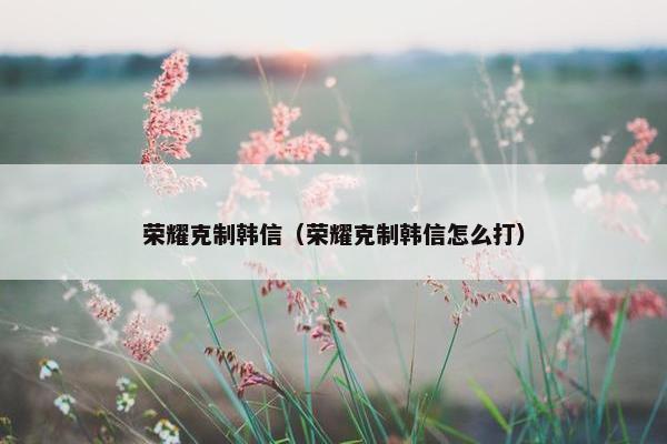 荣耀克制韩信（荣耀克制韩信怎么打）