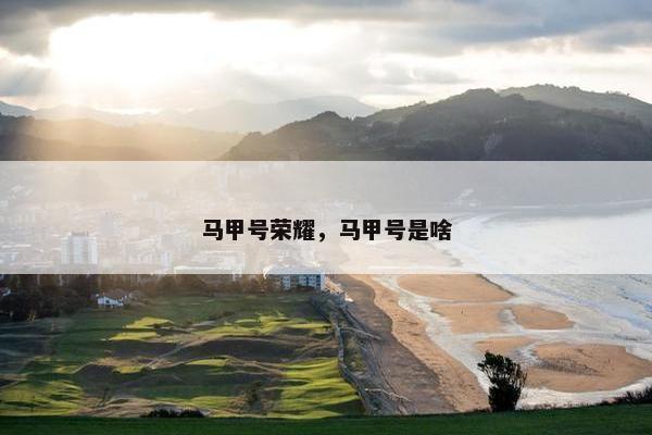 马甲号荣耀，马甲号是啥