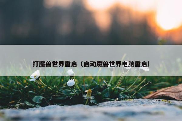 打魔兽世界重启（启动魔兽世界电脑重启）