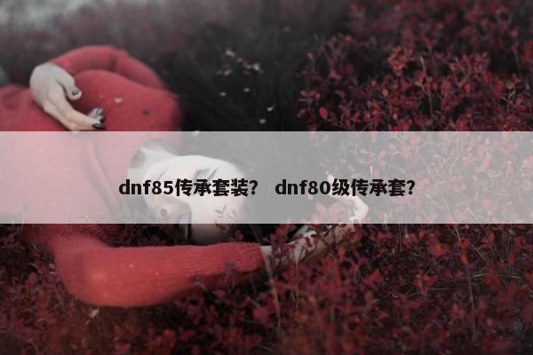 dnf85传承套装？ dnf80级传承套？