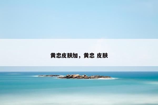 黄忠皮肤加，黄忠 皮肤