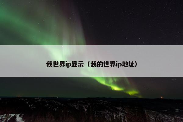 我世界ip显示（我的世界ip地址）