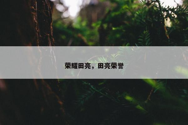 荣耀田亮，田亮荣誉
