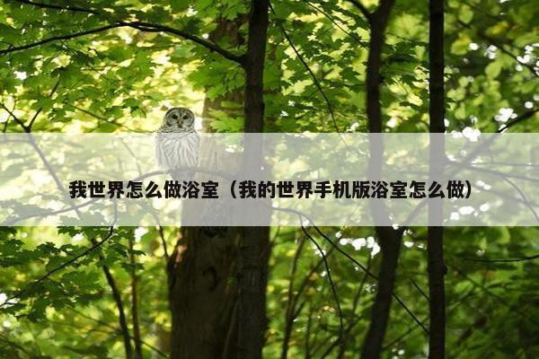 我世界怎么做浴室（我的世界手机版浴室怎么做）