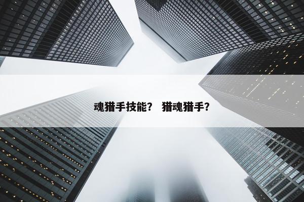 魂猎手技能？ 猎魂猎手？