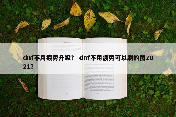 dnf不用疲劳升级？ dnf不用疲劳可以刷的图2021？