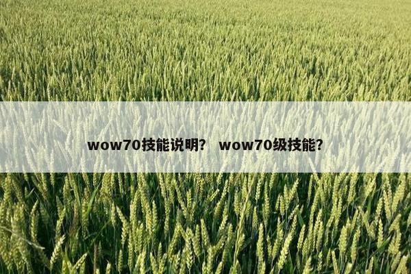 wow70技能说明？ wow70级技能？