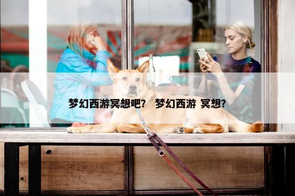 梦幻西游冥想吧？ 梦幻西游 冥想？