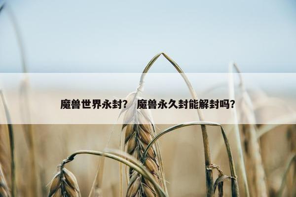 魔兽世界永封？ 魔兽永久封能解封吗？
