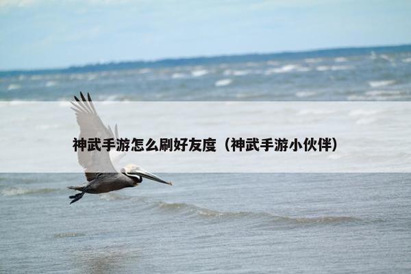 神武手游怎么刷好友度（神武手游小伙伴）