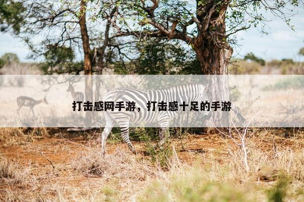 打击感网手游，打击感十足的手游