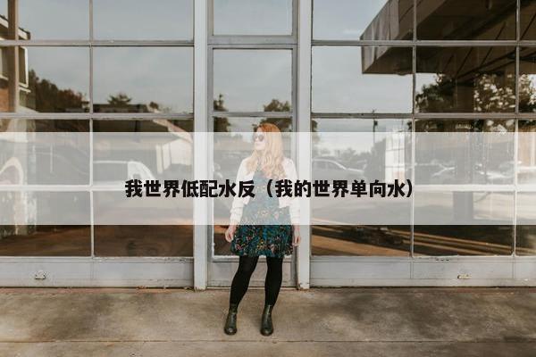 我世界低配水反（我的世界单向水）