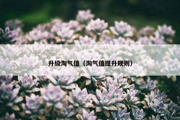 升级淘气值（淘气值提升规则）
