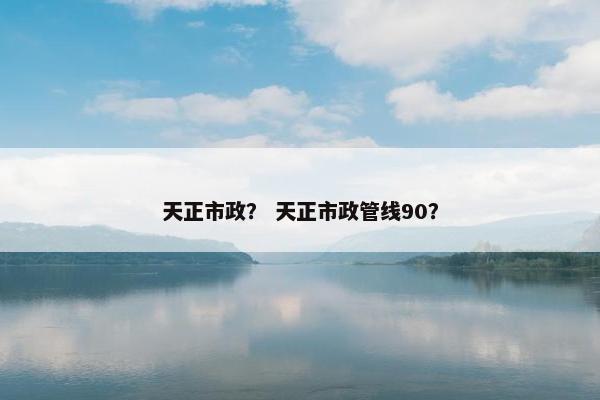 天正市政？ 天正市政管线90？