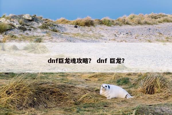 dnf巨龙魂攻略？ dnf 巨龙？