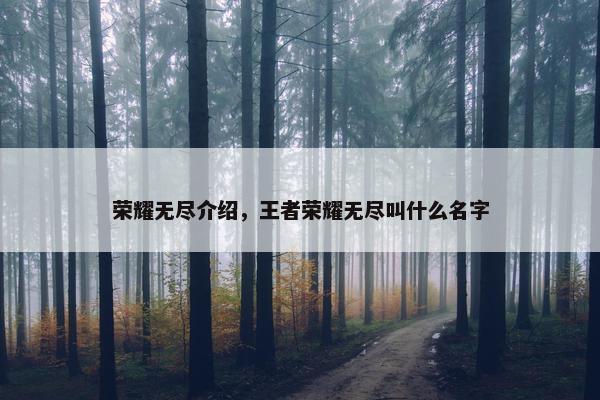 荣耀无尽介绍，王者荣耀无尽叫什么名字