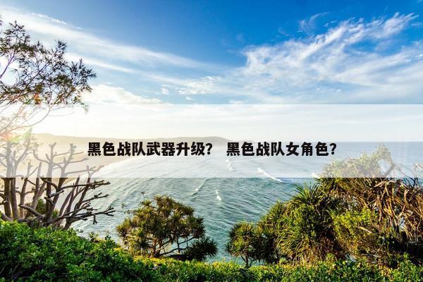 黑色战队武器升级？ 黑色战队女角色？