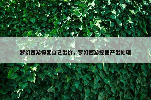 梦幻西游探索自己出价，梦幻西游挖图产出处理