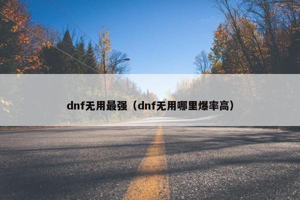 dnf无用最强（dnf无用哪里爆率高）