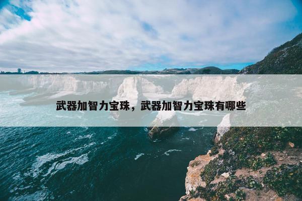 武器加智力宝珠，武器加智力宝珠有哪些
