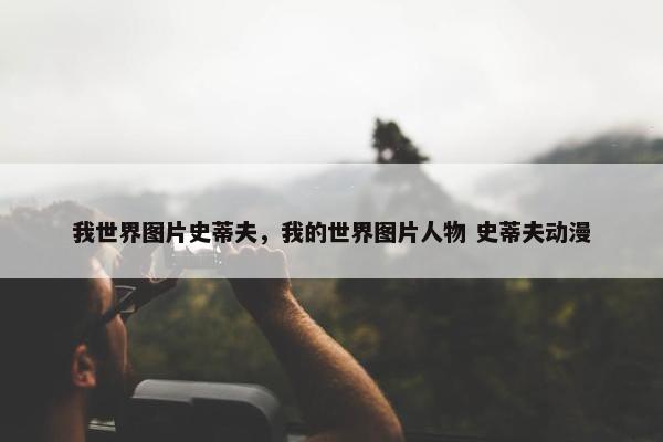 我世界图片史蒂夫，我的世界图片人物 史蒂夫动漫