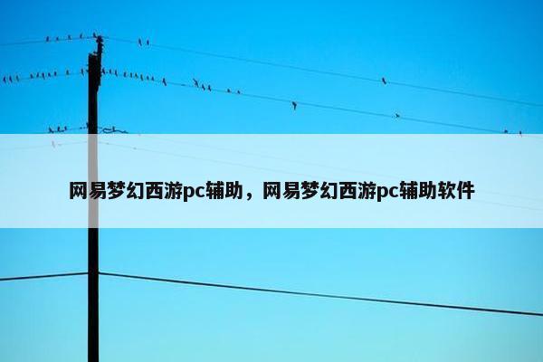 网易梦幻西游pc辅助，网易梦幻西游pc辅助软件