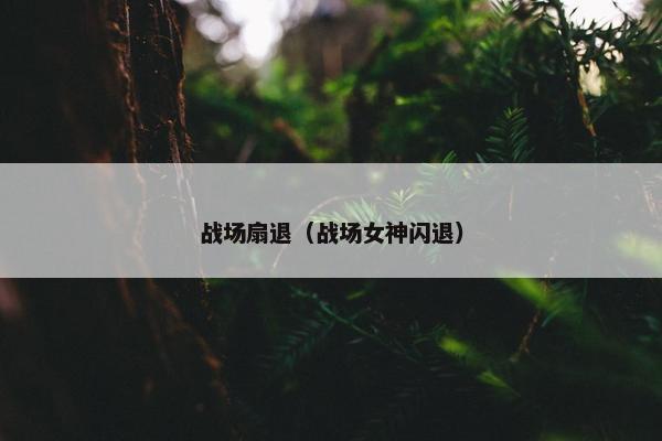 战场扇退（战场女神闪退）
