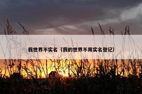 我世界不实名（我的世界不用实名登记）