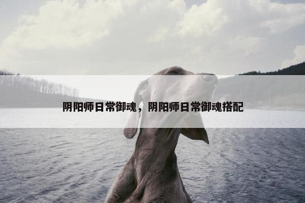 阴阳师日常御魂，阴阳师日常御魂搭配