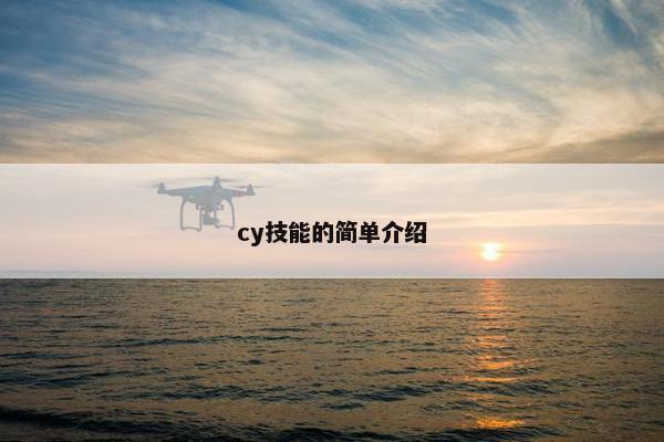cy技能的简单介绍