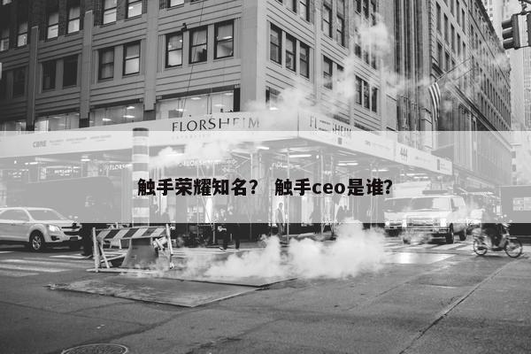 触手荣耀知名？ 触手ceo是谁？
