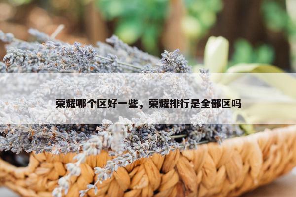 荣耀哪个区好一些，荣耀排行是全部区吗