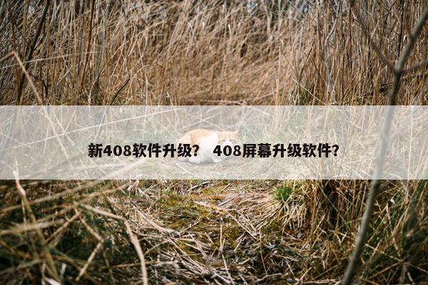 新408软件升级？ 408屏幕升级软件？