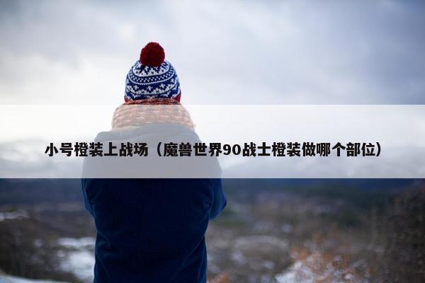 小号橙装上战场（魔兽世界90战士橙装做哪个部位）