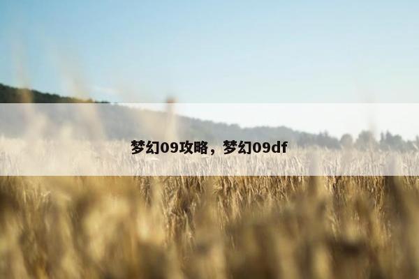 梦幻09攻略，梦幻09df