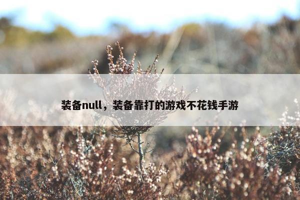 装备null，装备靠打的游戏不花钱手游