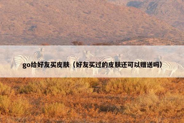 go给好友买皮肤（好友买过的皮肤还可以赠送吗）