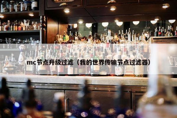 mc节点升级过滤（我的世界传输节点过滤器）