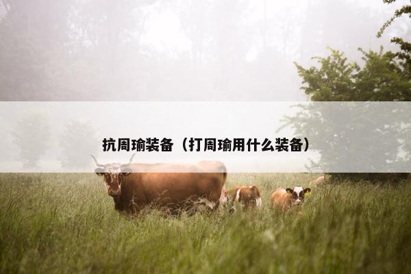 抗周瑜装备（打周瑜用什么装备）