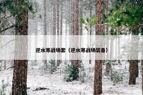 逆水寒战场套（逆水寒战场装备）