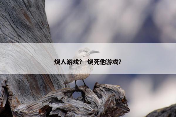 烧人游戏？ 烧死他游戏？