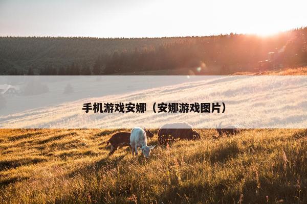 手机游戏安娜（安娜游戏图片）