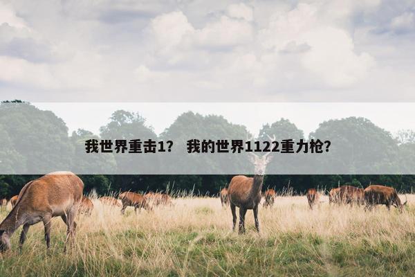 我世界重击1？ 我的世界1122重力枪？