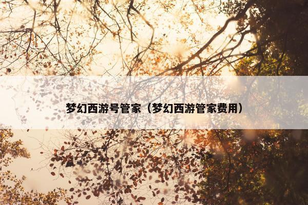 梦幻西游号管家（梦幻西游管家费用）